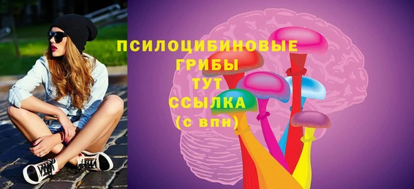 метадон Алексин