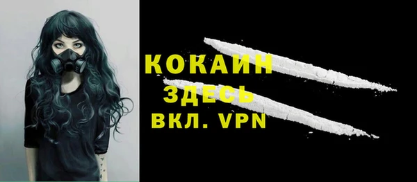 метадон Алексин