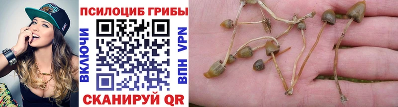 Псилоцибиновые грибы Cubensis  Любим 